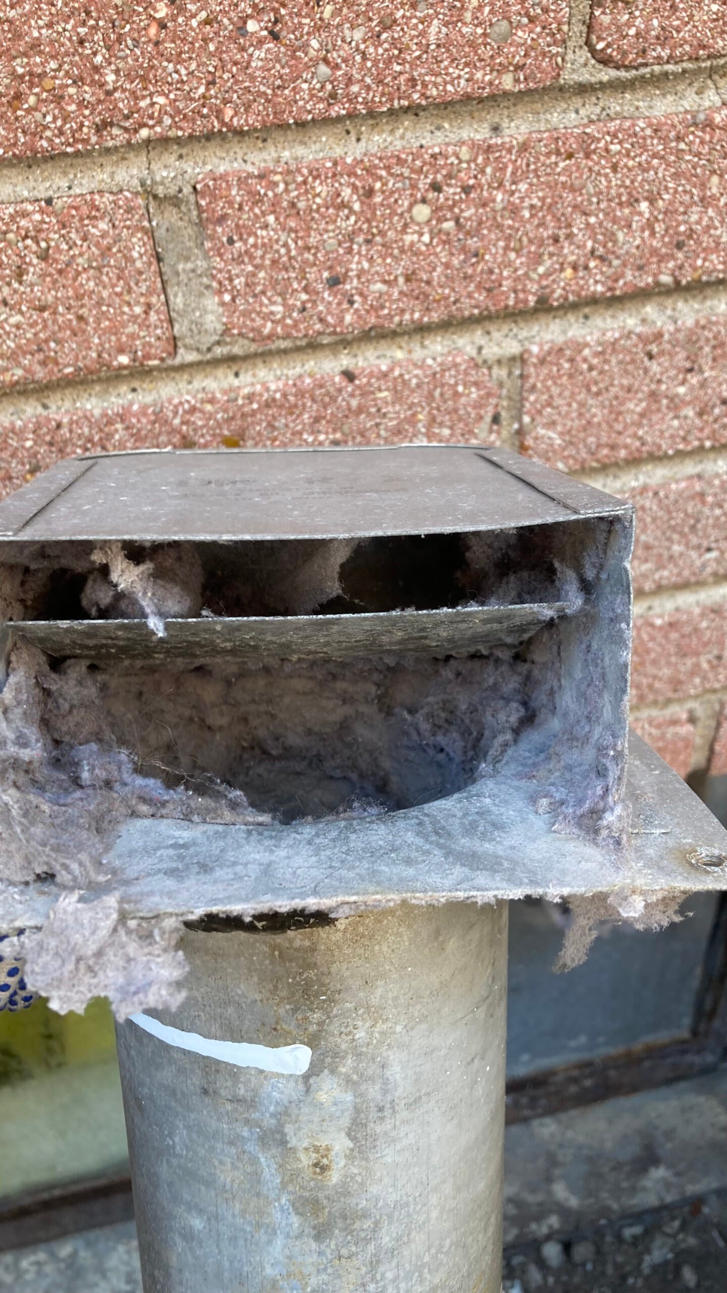 Inspection of Dryer Vent