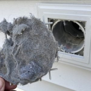 An animal guard on an exterior vent, increasing the risk of lint buildup and blockage.